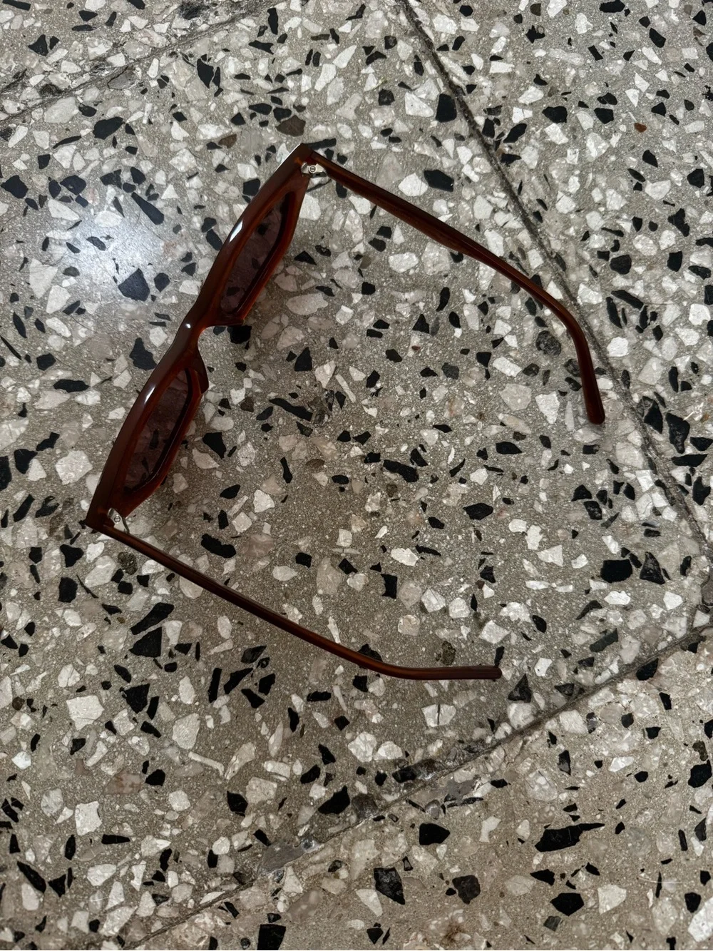 Banbé Brown Cat-Eye Sunglasses for Women